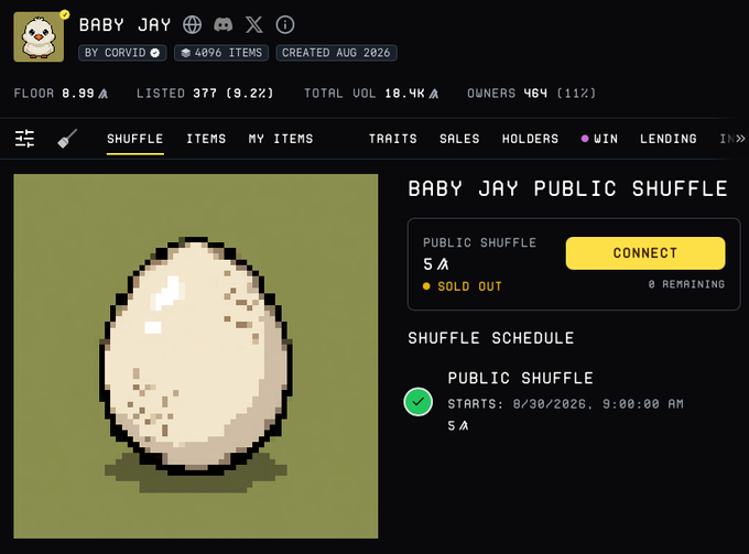 A digital NFT collection page displays 'BABY JAY BY CORVID' with 4096 items, showing a pixelated egg icon on a green background and noting the 'BABY JAY PUBLIC SHUFFLE' is sold out, scheduled to start 8/30/2026.