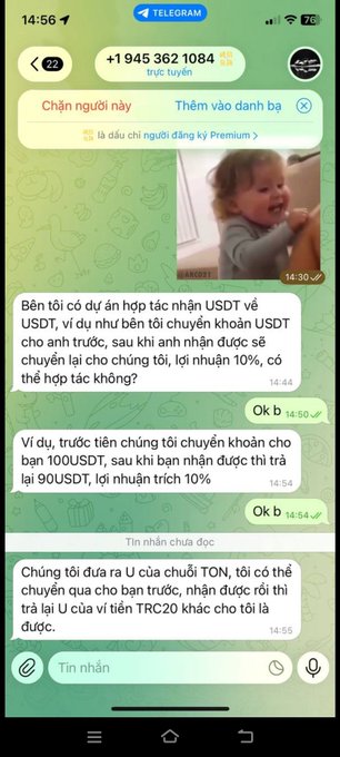 A screenshot of a Telegram chat in Vietnamese discussing a USDT collaboration project, with messages detailing a proposal for 10% profit upon receiving a USDT transfer, including a photo of a laughing child.