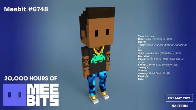A pixel art NFT display labeled "Meebit #6748" from the "20,000 HOURS OF MEEBITS" collection shows a character with spiky hair, an Invader Tee, and blue camo pants, with detailed trait attributes listed on the right.