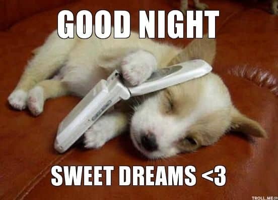 A meme featuring a sleeping puppy cuddling a cordless phone handset, captioned 'GOOD NIGHT' and 'SWEET DREAMS <3'.