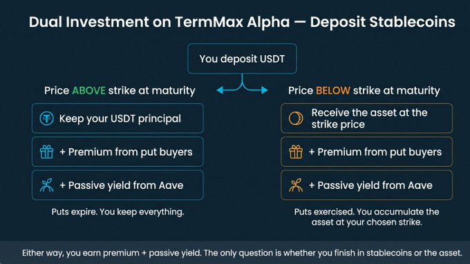 An infographic titled 'Dual Investment on TermMax Alpha – Deposit Stablecoins' explains deposit scenarios, showing that depositing USDT results in keeping principal plus premium from put buyers if the price stays above strike, or receiving the asset plus premium if below.