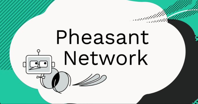 A logo graphic with the text 'Pheasant Network' alongside a small robot mascot with a jetpack, set against teal and white abstract shapes.