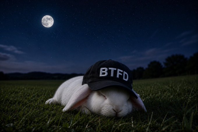 A white rabbit sleeping in grass at night under a starry sky with a full moon, wearing a black baseball cap that reads "BTFD".