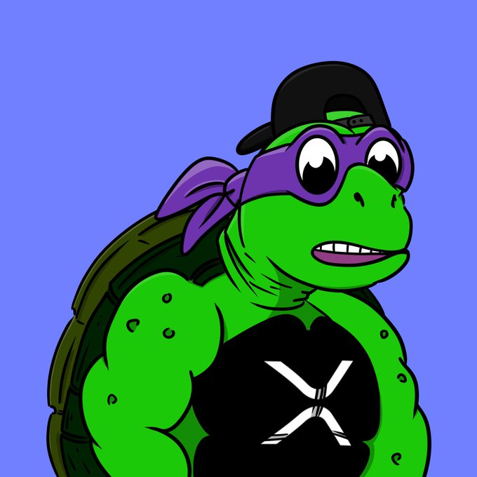 A digital drawing of a muscular green turtle wearing a purple mask, a backwards black cap, and a black shirt with a white "X" on it, set against a blue background.
