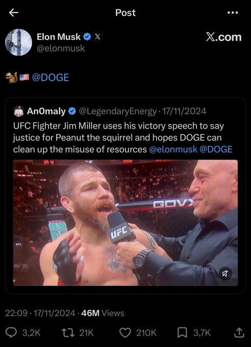 Elon Musk retweeted a post about UFC Fighter Jim Miller using his victory speech to advocate for Peanut the squirrel and DOGE, showing a post-fight interview with 46M views, 210K likes, and 21K retweets dated 17/11/2024. The image illustrates the kind of organic, viral moments that helped drive momentum for $PNUT to reach its $1.8B market cap, reminiscent of when Musk's casual mentions on platforms like Joe Rogan's podcast sparked significant price action.