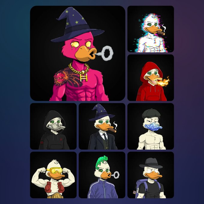 A collage of nine stylized cartoon duck NFTs/characters in various costumes including a wizard, hacker, and businessman against dark backgrounds.