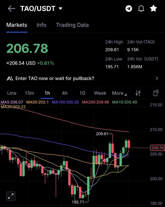 A cryptocurrency trading chart for TAO/USDT showing a price of 206.78 (+0.81%) with a prompt reading 'Enter TAO now or wait for pullback?'