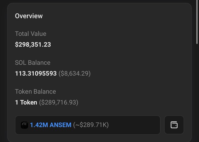 The image shows a crypto wallet overview displaying a total value of $298,351.23, with a 1 Token balance worth $289,716.93 and a SOL balance of 113.31 ($8,634.29), including 1.42M ANSEM tokens valued at approximately $289.71K.
