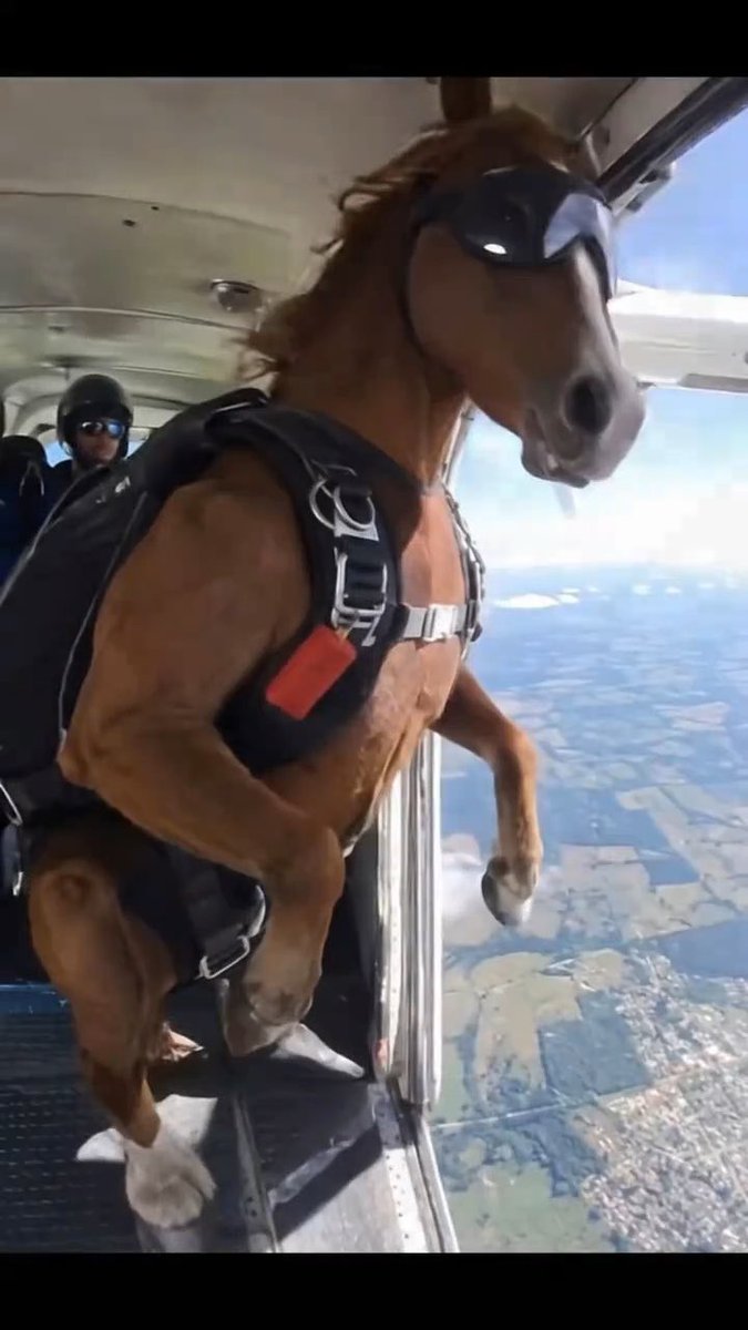 A humorous image showing a brown horse wearing goggles and a harness sitting in the open doorway of a small airplane, as if about to skydive, with a person in the background.