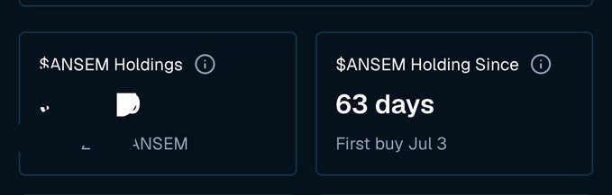 A digital dashboard displaying crypto holdings for '$ANSEM', noting a holding period of '63 days' since the 'First buy Jul 3'.