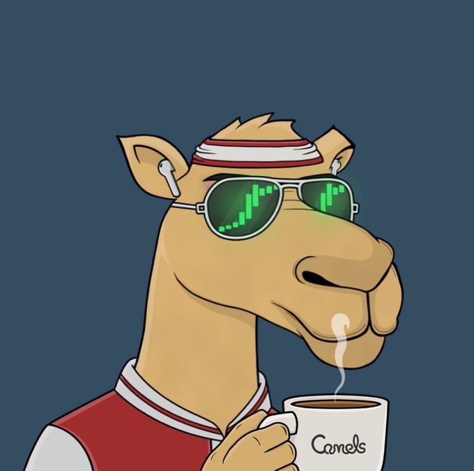 A cartoon camel wearing a red and white headband and sunglasses (reflecting a green upward candlestick chart) holds a steaming mug labeled "Camels." The image fits the "GM Legends" and "Blessed HumpDay" post by blending a camel pun ("hump day") with a bullish crypto/forex-style chart, signaling optimism and a positive midweek greeting.