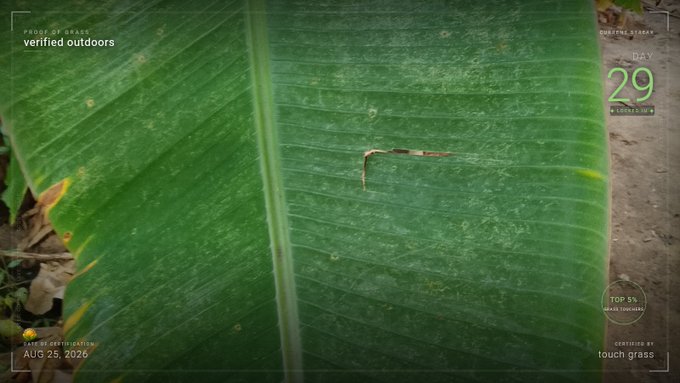 A photograph of a large green banana leaf with a praying mantis resting on it, overlaid with text reading 'PROOF OF GRASS verified outdoors', 'DAY 29 TOUCHED', 'TOP 5%', 'TOUCH GRASS', and 'ESTIMATED BIRTHDAY AUG 25, 2026'.