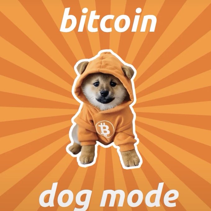 A graphic illustration featuring a Shiba Inu dog wearing an orange hoodie with the Bitcoin '₿' logo, set against an orange sunburst background with the text 'bitcoin dog mode'.