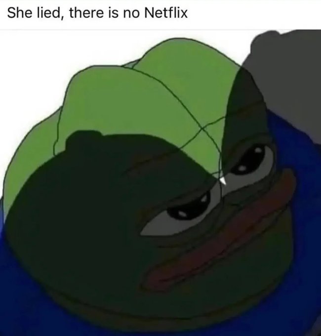 A meme featuring a sad Pepe the Frog lying down with the text 'She lied, there is no Netflix' at the top.