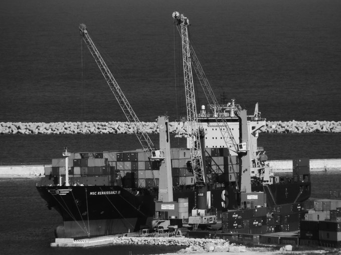 A black and white photograph of a MSC container ship named 'MSC RENATA III' being loaded by cranes at a port.