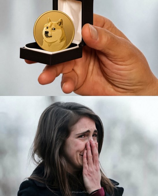 A two-panel meme shows a hand holding an open box with a Dogecoin coin featuring the Shiba Inu dog on top, while the bottom panel depicts a crying woman covering her mouth, referencing the cryptocurrency's volatility.