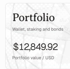 The image shows a portfolio dashboard displaying a wallet, staking, and bonds value of $12,849.92 USD. The tweet proudly claims to have made a $2,000 presale investment that has apparently grown over sixfold, though such dramatic returns in a single day are a hallmark warning sign of a Ponzi scheme as the poster themselves jokes.