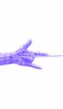 A small pixelated purple airplane sprite on a white background.