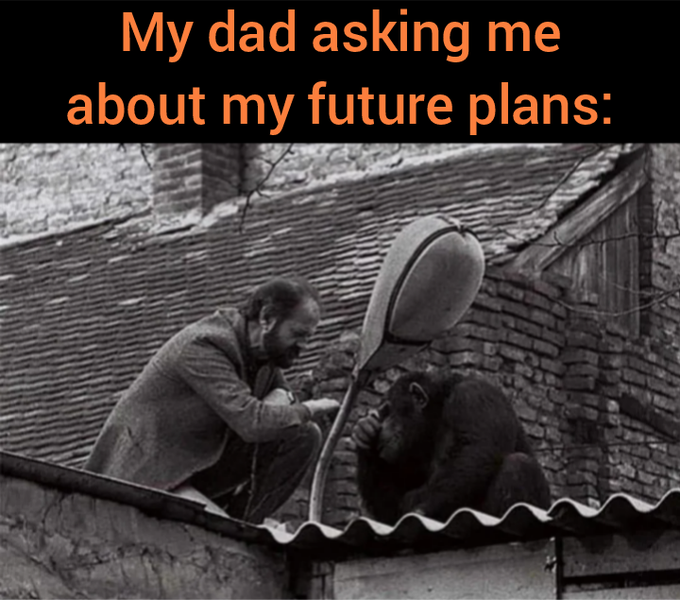 A black and white meme showing a man on a roof interacting with a chimpanzee through a satellite dish, captioned 'My dad asking me about my future plans:'.