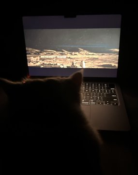 Silhouette of a cat sitting in front of a laptop screen displaying an image of a lunar landscape.