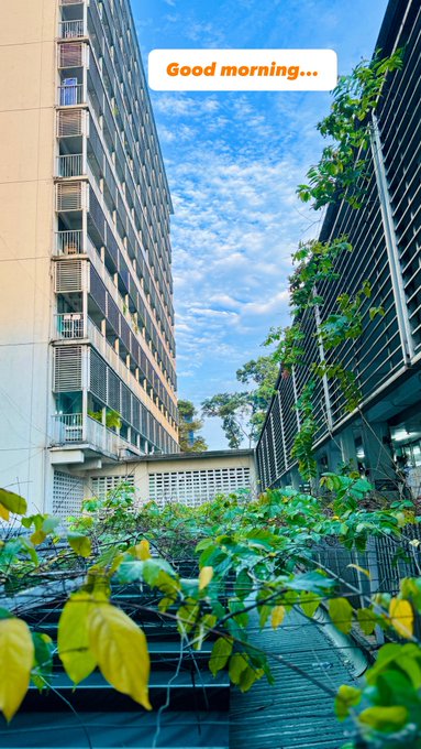 A view looking up at tall apartment buildings framed by green foliage, with a text overlay reading 'Good morning...'.