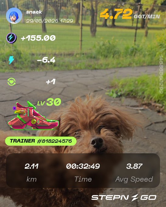 The image shows a brown dog with curly fur, possibly a poodle or a similar breed, standing on a sidewalk next to some trees. The dog appears to be looking at the camera, as if posing for a photo. In front of the dog is a poster that displays information about a fitness app called "Stepn Go". The poster includes details such as the app's name and logo, along with the number of steps taken by the user in the past 24 hours.