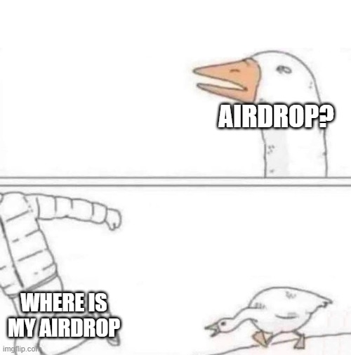 A two-panel meme featuring a goose: the top panel shows the goose saying 'AIRDROP?' and the bottom panel shows a leg chasing a bird asking 'WHERE IS MY AIRDROP'.