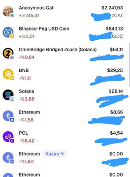 A cryptocurrency price list on a mobile app showing Anonymous Cat (ZCAT) leading at $2,247.63, followed by Binance-Peg USD Coin, OmniBridge Bridged Zcash, BNB, Solana, and Ethereum derivatives.