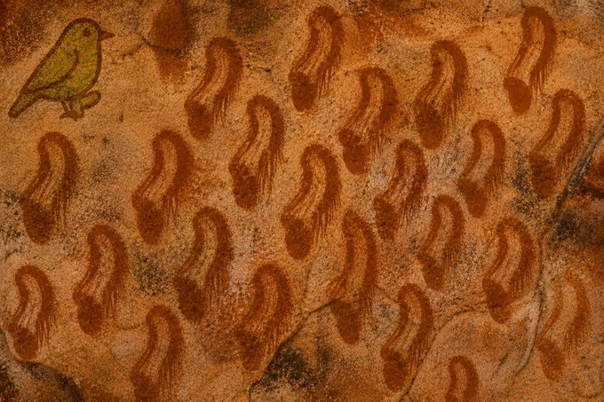 Ancient cave painting or rock art depicting a small yellow bird and numerous reddish-brown footprints or handprints on a textured earthy surface.