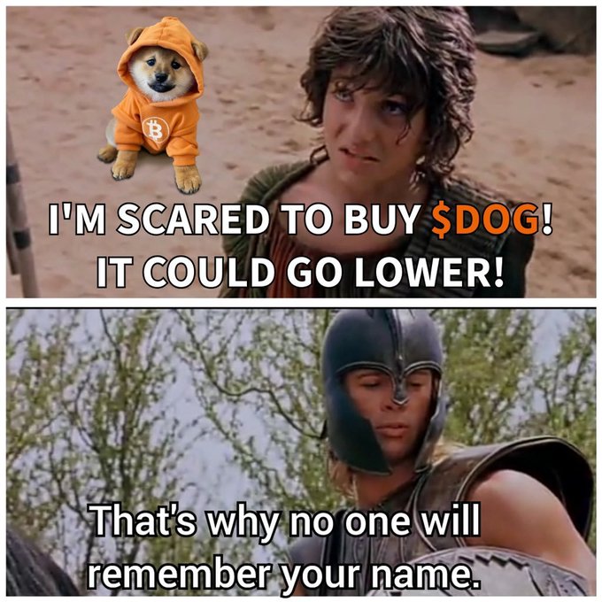 A two-panel meme using Troy and Achilles from the movie Troy, with text reading 'I'M SCARED TO BUY $DOG! IT COULD GO LOWER!' on the top panel and 'That's why no one will remember your name.' on the bottom panel, featuring a Shiba Inu dog in an orange hoodie.