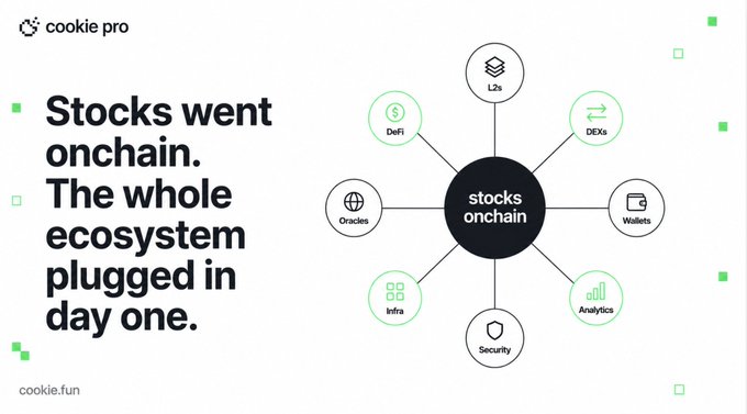 A promotional graphic from cookie.pro declares "Stocks went onchain. The whole ecosystem plugged in day one." alongside a hub-and-spoke diagram showing "stocks onchain" at the center connected to surrounding nodes labeled L2s, DEXs, Wallets, Analytics, Security, Infra, Oracles, and DeFi, illustrating the rapid ecosystem integration of tokenized stocks like Apple, NVDA, and Microsoft on Base following their August 24 launch.
