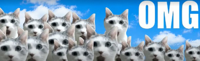 Multiple identical white cat faces against a blue sky background with the large white text 'OMG' on the right side.