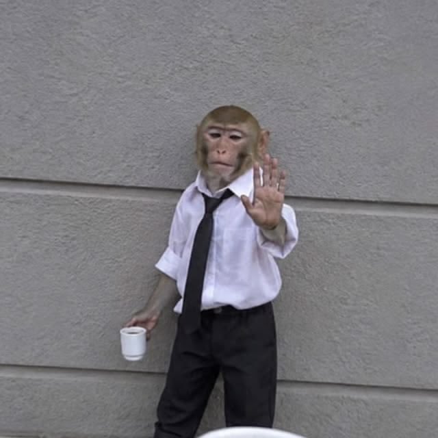 A monkey dressed in a white shirt, black tie, and black pants stands against a gray wall, raising one hand while holding a white cup in the other, resembling a businessman.