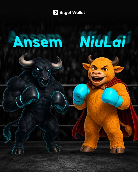 A promotional Bitget Wallet graphic features two anthropomorphic bull mascots wearing boxing gloves in a ring—labeled "Ansem" (a sleek black bull) and "NiuLai" (a golden bull with a red cape)—visually representing the two bullish crypto projects highlighted in the post: ANSEM on Solana and 牛来 (NiuLai) on BSC.