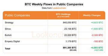A table titled 'BTC Weekly Flows in Public Companies' lists Strategy (845,050 BTC), Strive (23,156 BTC), Bullish (22,000 BTC), and Empery Digital (1,179 BTC), with a total of 891,385 BTC.