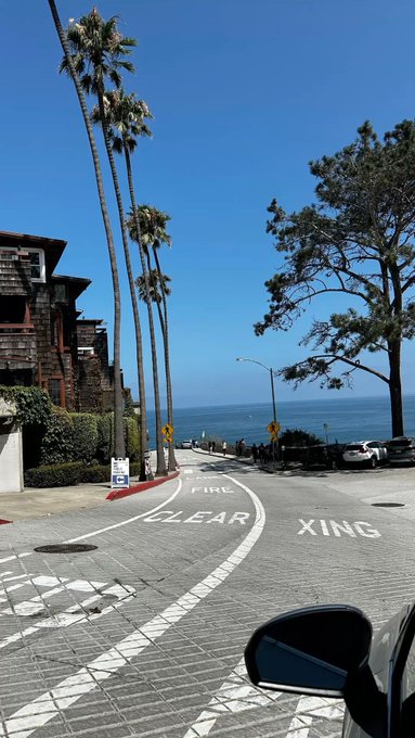 A coastal street scene with tall palm trees, road markings reading 'FIRE LANE CLEAR XING', and the ocean visible in the background.