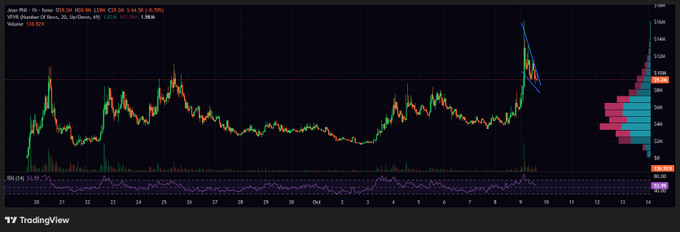 A TradingView stock chart shows share price movement with a recent sharp decline from highs around $260 down to $212.56, displaying volume bars and an RSI indicator at the bottom with VIX (Phantom) overlay data for the period from September 28 to October 13.