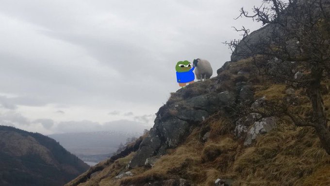 A composite image of a sheep standing on a rocky, grassy hillside in a mountainous landscape, with a small cartoon character (Duolingo's owl mascot) edited in next to it.