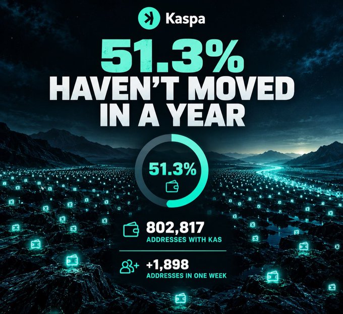 An infographic for Kaspa states '51.3% HAVEN'T MOVED IN A YEAR', highlighting 802,817 addresses with KAS and an additional 1,898 addresses added in one week.