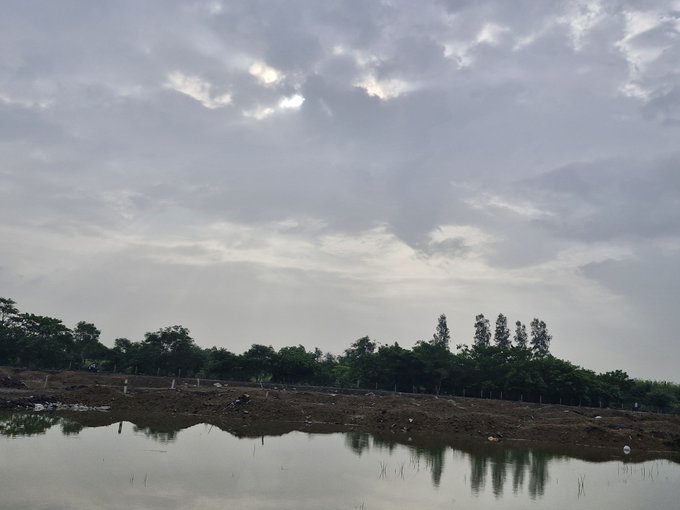 A landscape view of a calm body of water reflecting a cloudy, overcast sky, bordered by a line of green trees in the distance.
