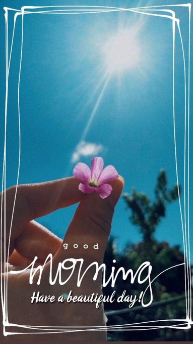 A hand holds up a small pink flower against a bright sun and blue sky, with the text 'good morning Have a beautiful day!' written in white.
