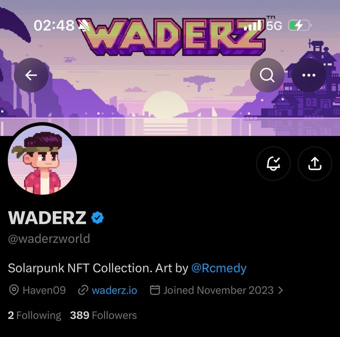 A Twitter/X profile page for 'WADERZ' (@waderzworld) describing a 'Solarpunk NFT Collection. Art by @Rcmedy' with pixel art header and avatar.