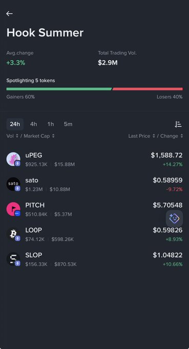 The image shows a phone screen displaying information about a cryptocurrency called "Hook Summer". The text at the bottom of the screen states that @Binance Wallet lists every other chain but not its own, suggesting that they are interested in the chains on that list. The message encourages builders to choose BNB Chain because many of them have ended up disappointed with other chains. It also suggests that they want to focus on building projects only for those chains listed by @Binance Wallet, which can be a valuable tip for anyone looking to invest in cryptocurrency.