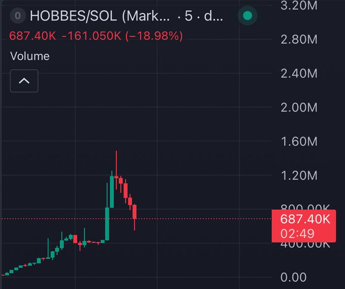 The image displays a cryptocurrency trading chart for the token "HOBBES/SOL" on a 5-day timeframe, showing a dramatic volume spike to approximately 687.40K (down 161.050K or 18.98% from recent levels) as highlighted in the red tooltip at 02:49. The chart connects to the post by illustrating the speculative meme coin launched on Ansem's platform, referencing his cat Hobbes, which is currently experiencing high volatility with visible price peaks around 1.60M volume followed by a sharp decline.