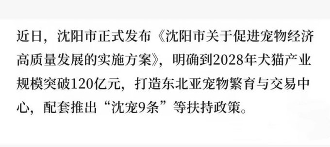Chinese text on a white background discussing Shenyang's implementation plan for promoting high-quality development of the pet economy, aiming to exceed 12 billion yuan by 2028.