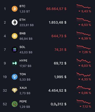 The image features a table displaying various cryptocurrencies with their values. The table includes the following cryptocurrencies: Bitcoin, Ethereum, Ripple, Sol, Hype, TON, Xaut, Ptee, Btc, and Xaút. The image also shows that there is a red downward trend for BTC and a green upward trend for the Ether. The data on this table might be used by cryptocurrency enthusiasts or those tracking the prices of different digital assets.