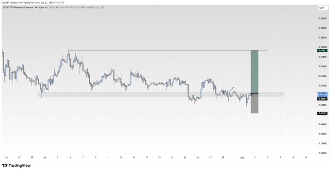 TradingView chart of the SHIB/USDT Perpetual Contract on Coinbase showing price action with a highlighted bearish move from around 0.0000290 down to 0.0000220, dated August 2025.