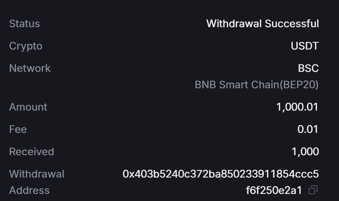 A cryptocurrency withdrawal confirmation screen showing 1,000.01 USDT successfully withdrawn via the BSC (BNB Smart Chain/BEP20) network, with a fee of 0.01 USDT and 1,000 USDT received at the address 0x403b5240c372ba850233911854ccc56f250e2a1.

The image appears to be a screenshot of a successful USDT withdrawal transaction, likely shared to demonstrate a real-world example of digital asset movement—relevant to discussions about implementing standards and systems for coin taxation.