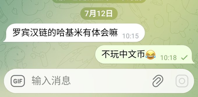 A WhatsApp chat screenshot dated July 12th in Chinese, with one message asking about Robin Chain's Hakimi and a reply laughing '不玩中文币' (don't play Chinese coins).