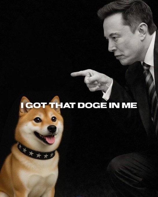 A black-and-white photo of Elon Musk pointing at a smiling Shiba Inu dog wearing a studded collar, with the bold text "I GOT THAT DOGE IN ME" overlaid between them. The meme humorously ties into the post's Dogecoin ($DOGE) and MyDoge/DogeOS update, riffing on Musk's well-known fondness for the meme-inspired cryptocurrency.